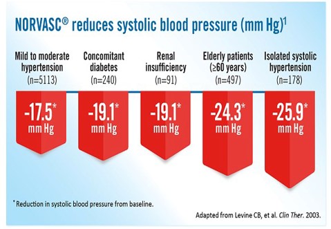 Efficacy in Reducing Blood Pressure