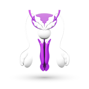 Men's Health Urology Viagra Silldenafil