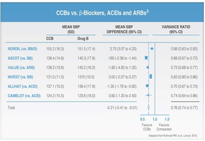 CCBs systolic BPV reduction vs other classes